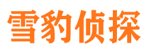 承德县市私家侦探